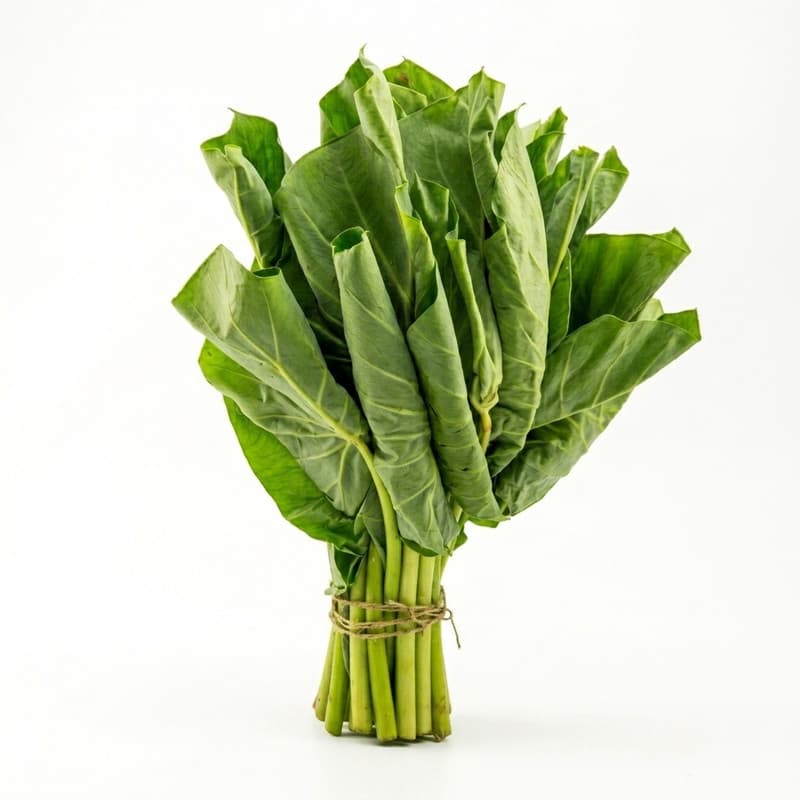 Dasheen Bush (Callaloo)
